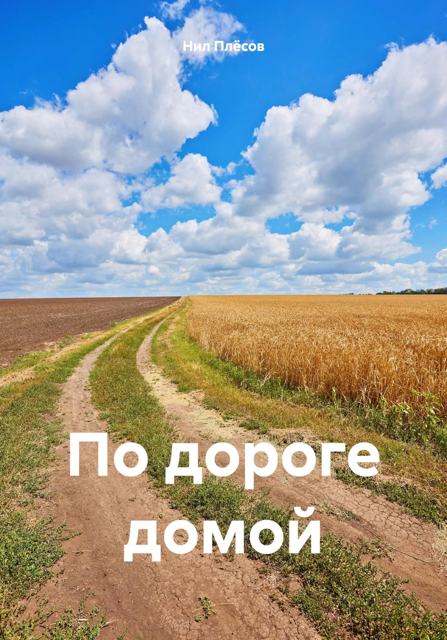 По дороге домой